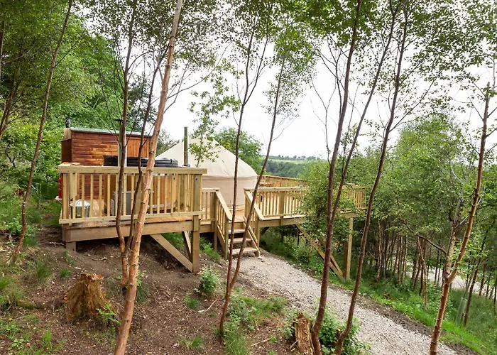 Yurtshire Eavestone Lake - Birch Yurt