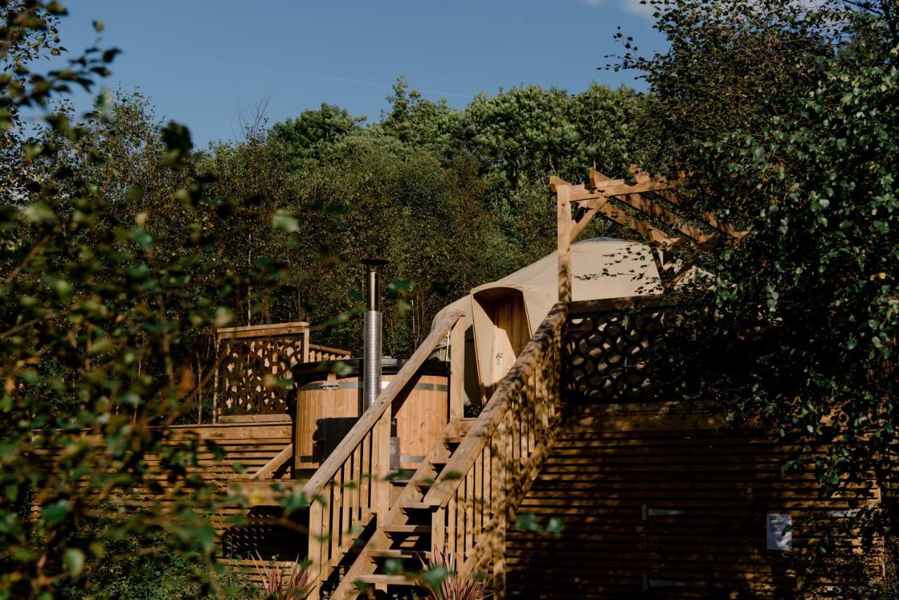 Alojamento de Turismo Selvagem Yurtshire Eavestone - Birch Yurt Ripon