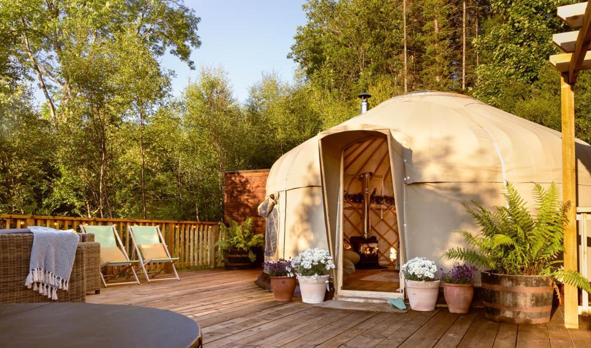 Yurtshire Eavestone - Birch Yurt *