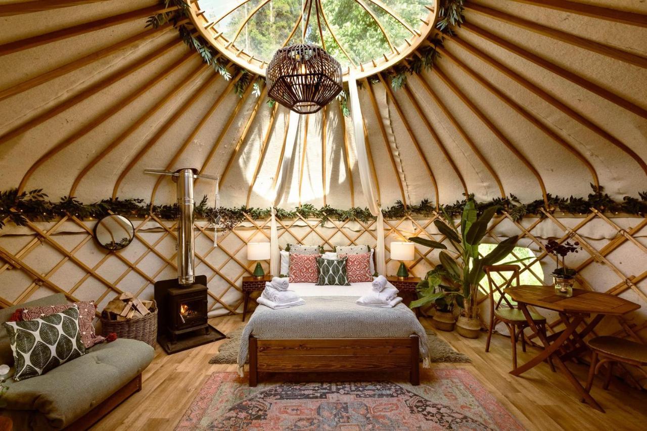 Yurtshire Eavestone - Birch Yurt * Ripon