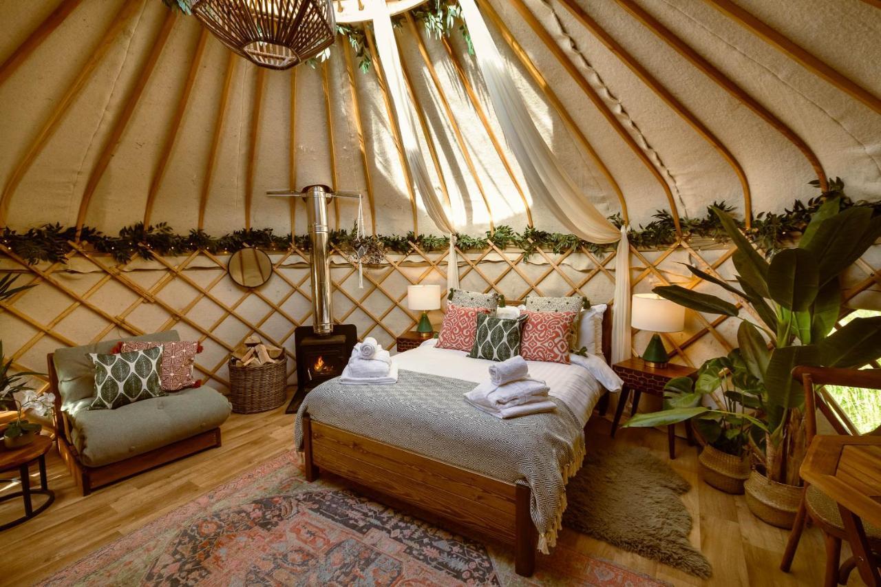 Lodge Yurtshire Eavestone - Birch Yurt Ripon